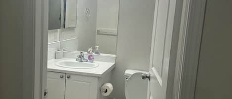 Hair dryer, towels, soap, toilet paper