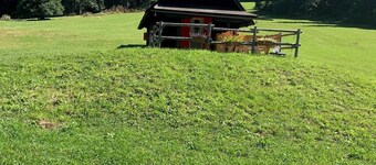 Romantic Salman Chalet in Valbartolo in the Thousand-Year Forest of Tarvisio