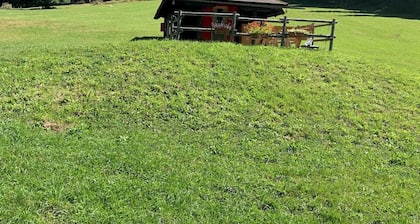 Romantic Salman Chalet in Valbartolo in the Thousand-Year Forest of Tarvisio