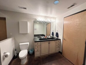 Jetted bath, hair dryer, towels, toilet paper - Fantastic 2-bedroom condo with private Balcony (St. Louis)