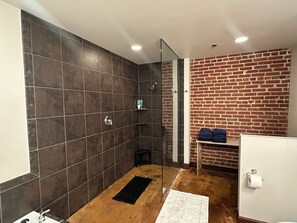 Jetted bath, hair dryer, towels, toilet paper - Fantastic 2-bedroom condo with private Balcony (St. Louis)