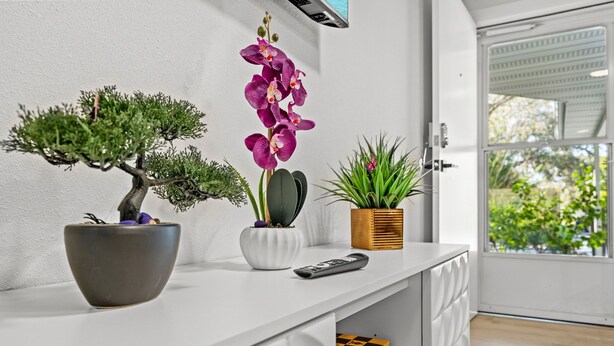 Una consola blanca decorada con bonsái, orquídeas y un cactus.