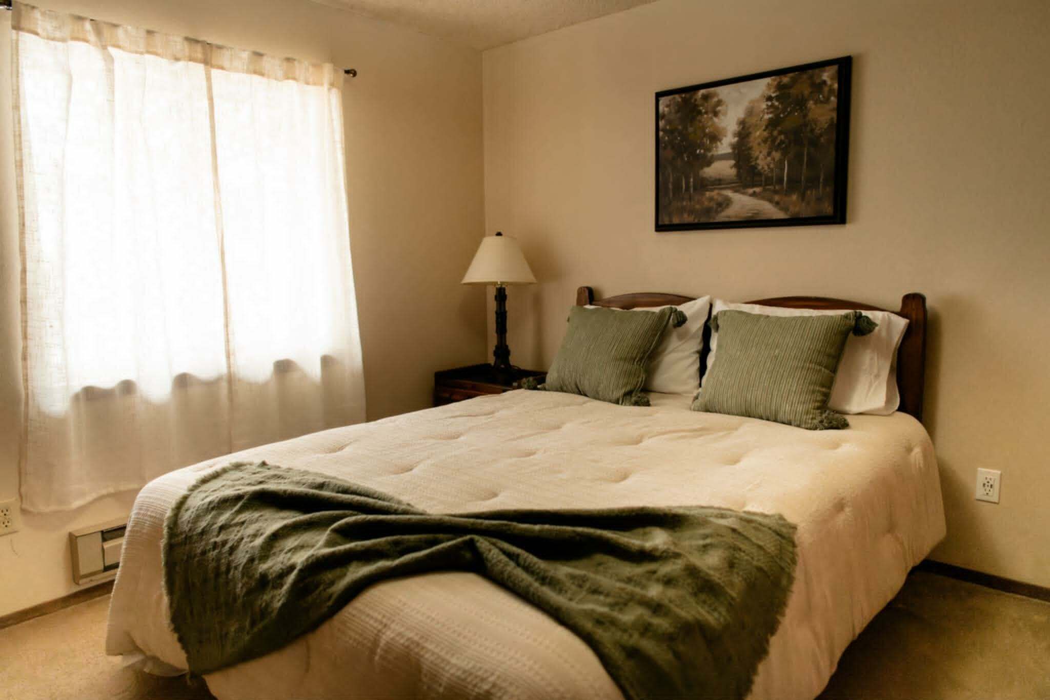 Iron/ironing board, free WiFi, bed sheets