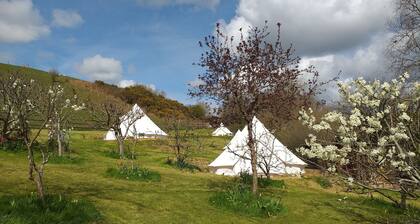 Stoat bell tent mins from Lyme Regis, River Cottage, stunning Jurassic Coast