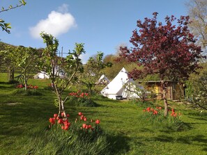 Property grounds - Stoat bell tent mins from Lyme Regis, River Cottage, stunning Jurassic Coast (Uplyme)