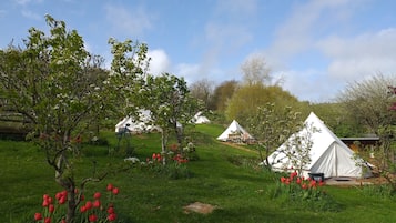 Áreas de la propiedad