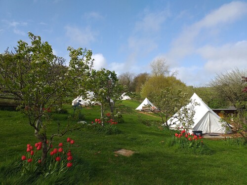 Stoat bell tent mins from Lyme Regis, River Cottage, stunning Jurassic Coast