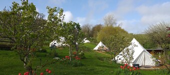 Stoat bell tent mins from Lyme Regis, River Cottage, stunning Jurassic Coast