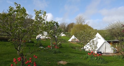 Stoat bell tent mins from Lyme Regis, River Cottage, stunning Jurassic Coast