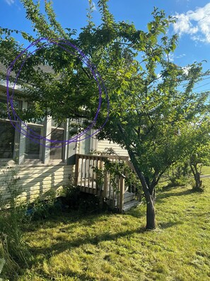 Property grounds - Waterfront Home In Popular West End With Rooftop Patio! (Moncton)