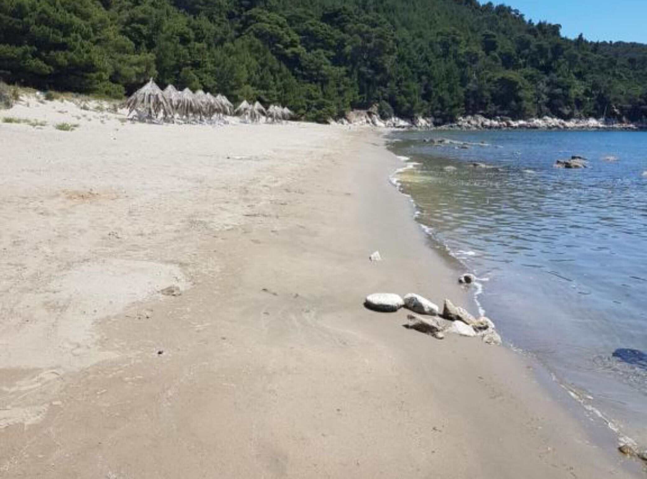 A beach with clear water, a sandy shore, and a forested hill in the background.