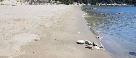A beach with clear water, a sandy shore, and a forested hill in the background.