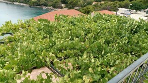 A vineyard with rows of grapevines, a body of water, and buildings with red-tiled roofs in the background. - Villa Azure Saplunara - One bedroom apartment Mirta (Saplunara)