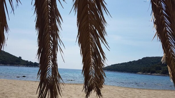 A beach with palm trees and a view of the sea. - Villa Azure Saplunara - One bedroom apartment Mirta (Saplunara)