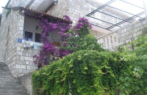Ein Steinhaus mit einer Treppe, einem überdachten Bereich mit violetten Blumen und einem Grünstrauch davor.
