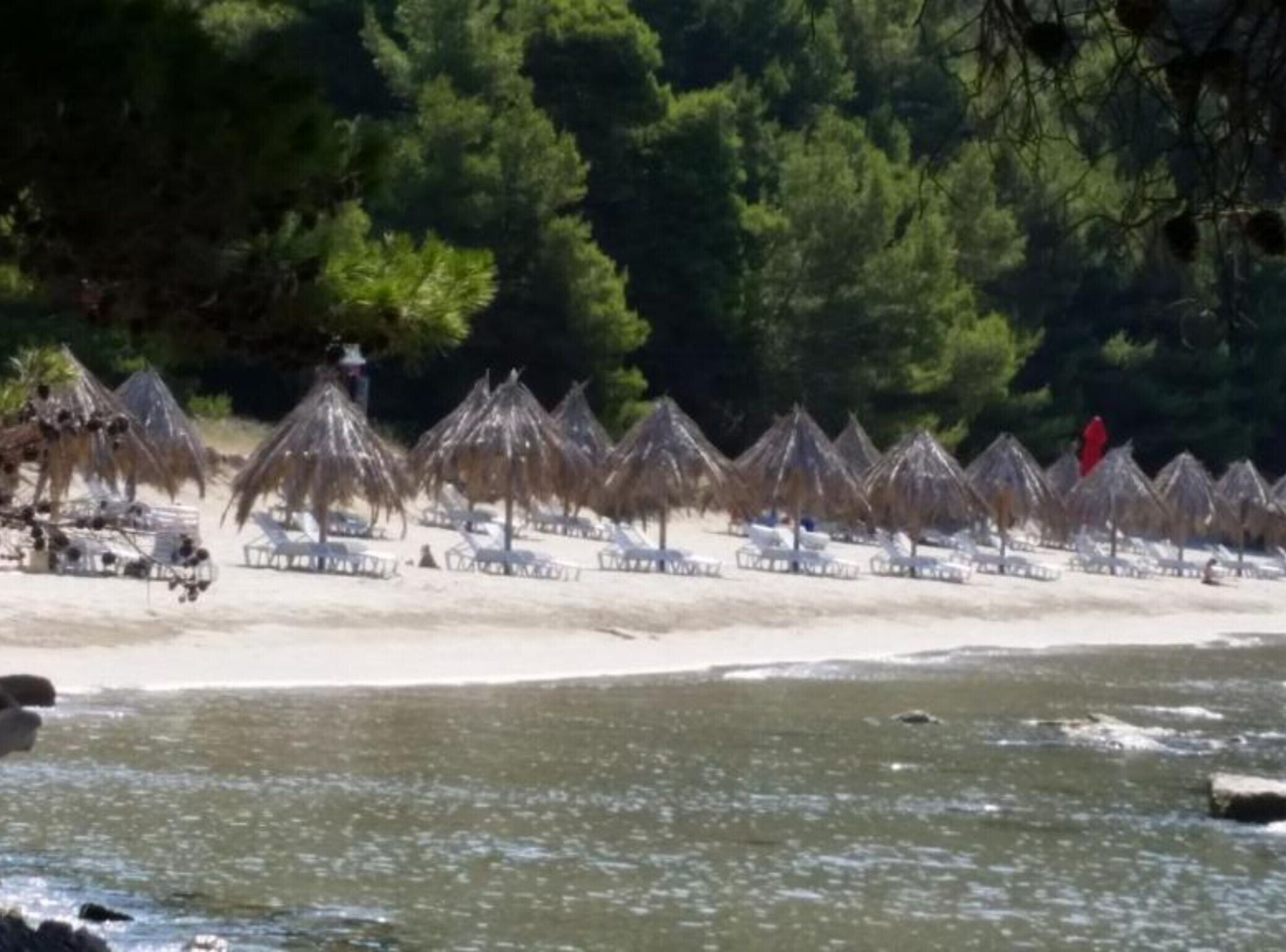 Una playa con sombrillas de paja y sillas de descanso.