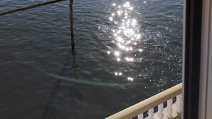 Une vue sur une étendue d’eau calme, parsemée de nombreux bateaux, sous un ciel dégagé, avec des collines qui se dessinent à l’horizon.