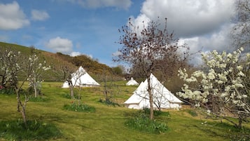 Overnattingsstedets uteområder