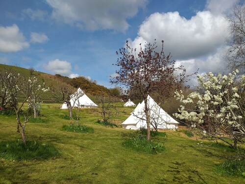 Rabbit bell tent, mins from Lyme Regis, River Cottage, stunning Jurassic Coast