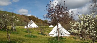 Rabbit bell tent, mins from Lyme Regis, River Cottage, stunning Jurassic Coast