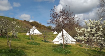 Rabbit bell tent, mins from Lyme Regis, River Cottage, stunning Jurassic Coast