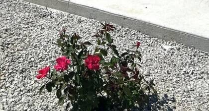 World Cup Retreat! Escape the crowds & relax after the games on 22 private acres