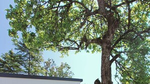 A modern house with a fenced yard, a tree, and a patio area. - 3-bedroom house, located 2mns from the Nantes-Brest canal and its walks! (Plessé)