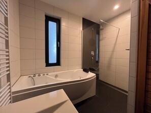Dusche, Whirlpool, Haartrockner, Handtücher