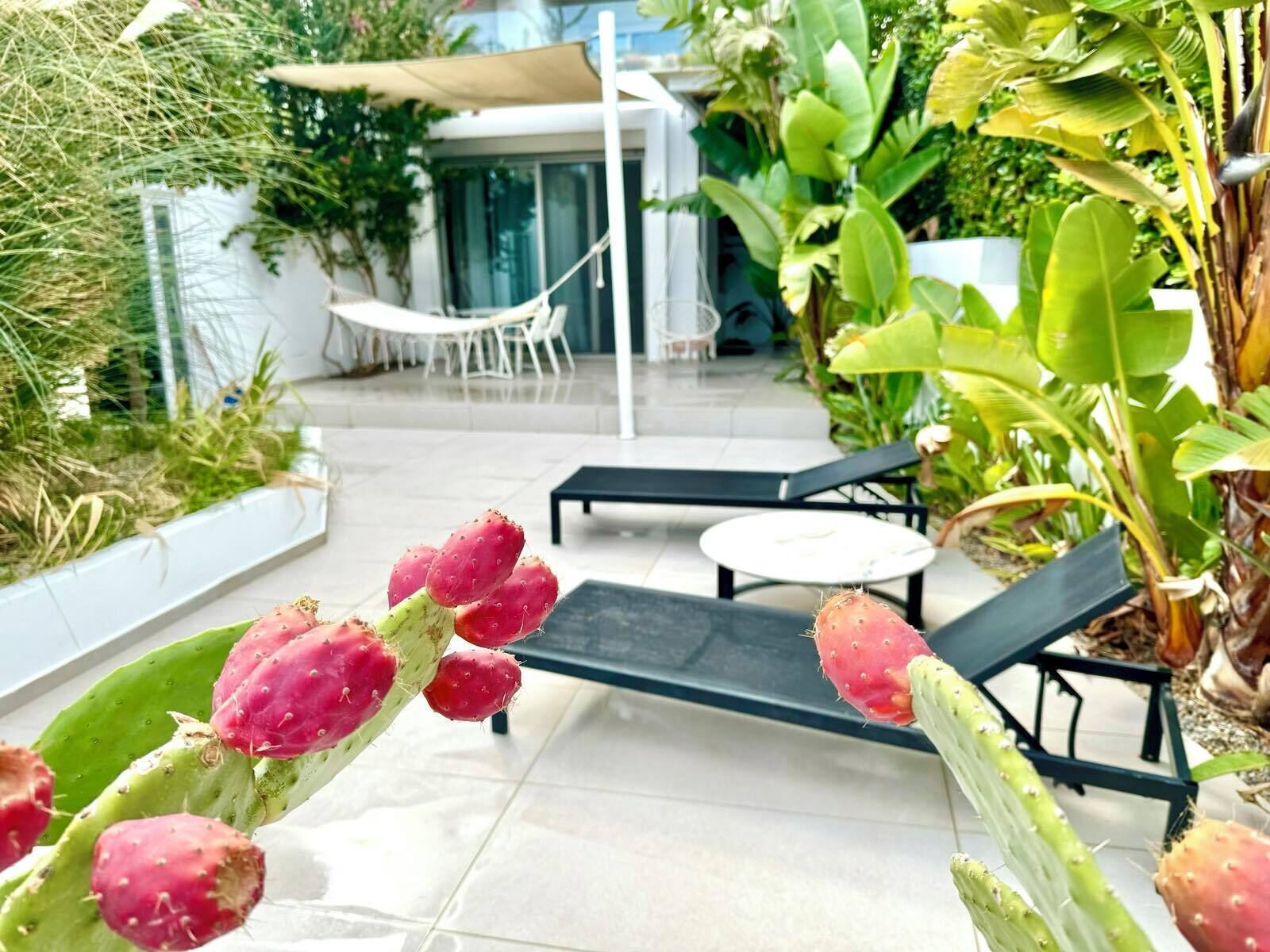 Deluxe Suite | Terrace/patio