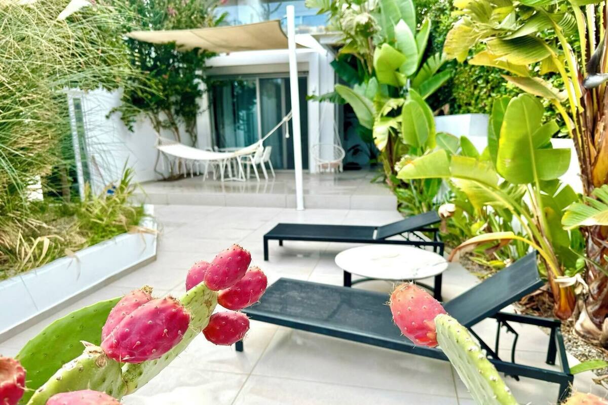 A patio area with a cactus, a hammock, and a table with chairs.