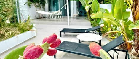 Deluxe Suite | Terrace/patio