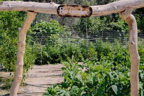 Property grounds - Made of blue luxury souites collection (Rethymno)