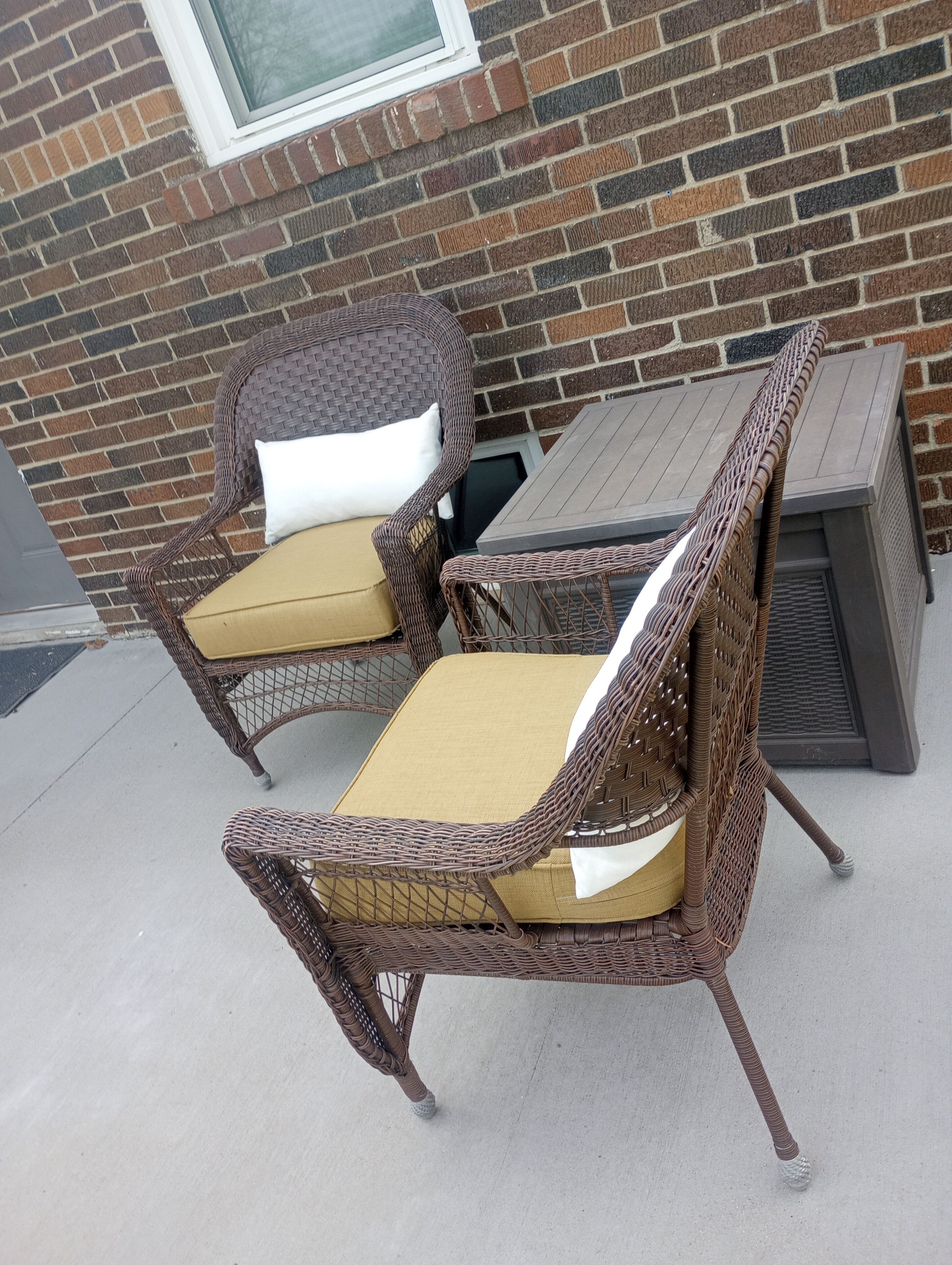 Terras
