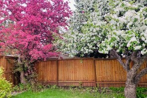 Property grounds - New | Intro Price | 3BR | Walk UofC | Games &Gym &Parking | 13m DT | 16m Airport (Calgary)