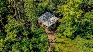 A treehouse cabin surrounded by dense foliage. - Cabin, woods, hot tub, stove, coast, porch, remote, private, secure garden. (Grimston)