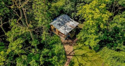 Cabin, woods, hot tub, stove, coast, porch, remote, private, secure garden.