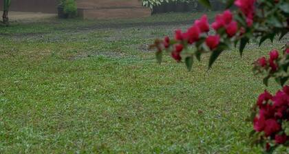 Wake up to the sounds of perfectly situated for exploring the best of Wayanad.