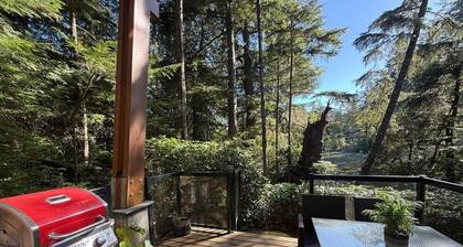 Coastal Rainforest Haven by Wild Pacific Trail
