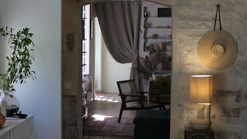 TV connectée, cheminée, livres, écrans d'ordinateur