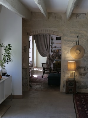 Smart TV, fireplace, books, computer monitors