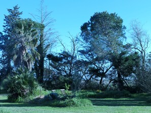 Miscellaneous - Mas Baudran, a bird paradise on the outskirts of Arles. (Arles)