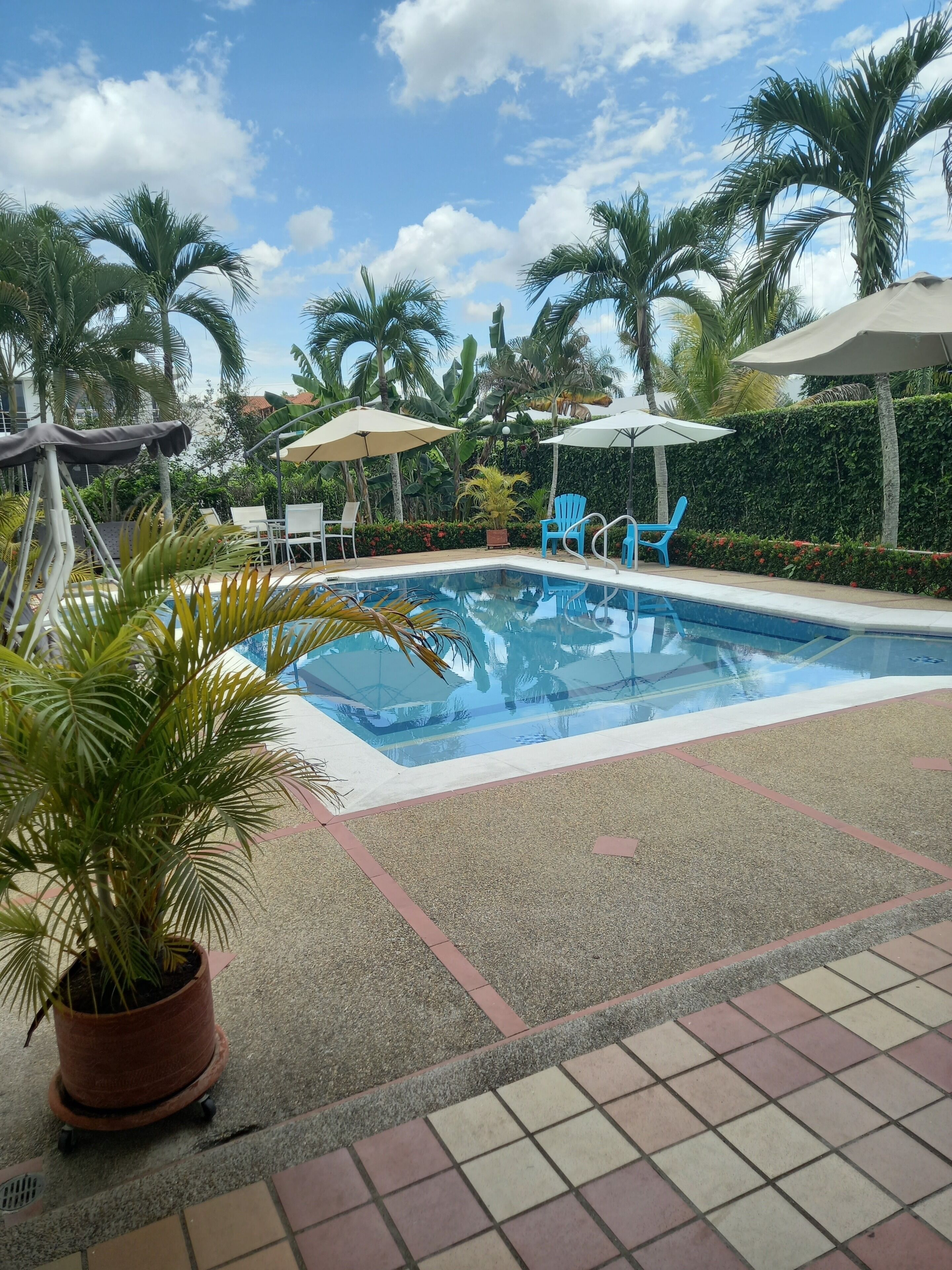 Una piscina con solárium empedrado, rodeada de palmeras y plantas en macetas.