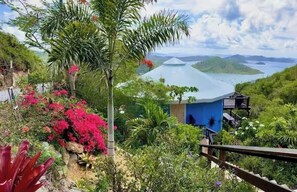 Property grounds - PANORAMIC OCEAN VIEWS- St John Romantic Coral Bay Oasis. A/C, Best Beaches,  (Coral Bay)