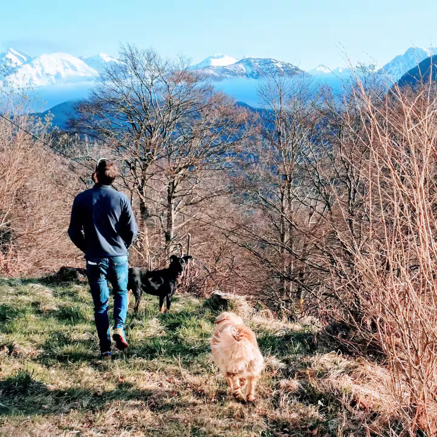 A person walking a dog on a grassy hill with mountains in the background.