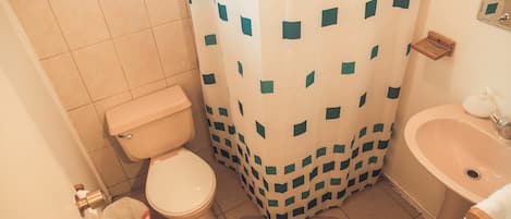Regadera, toallas, jabón, papel de baño