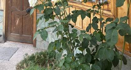 Apartamento en la Patagonia Chilena