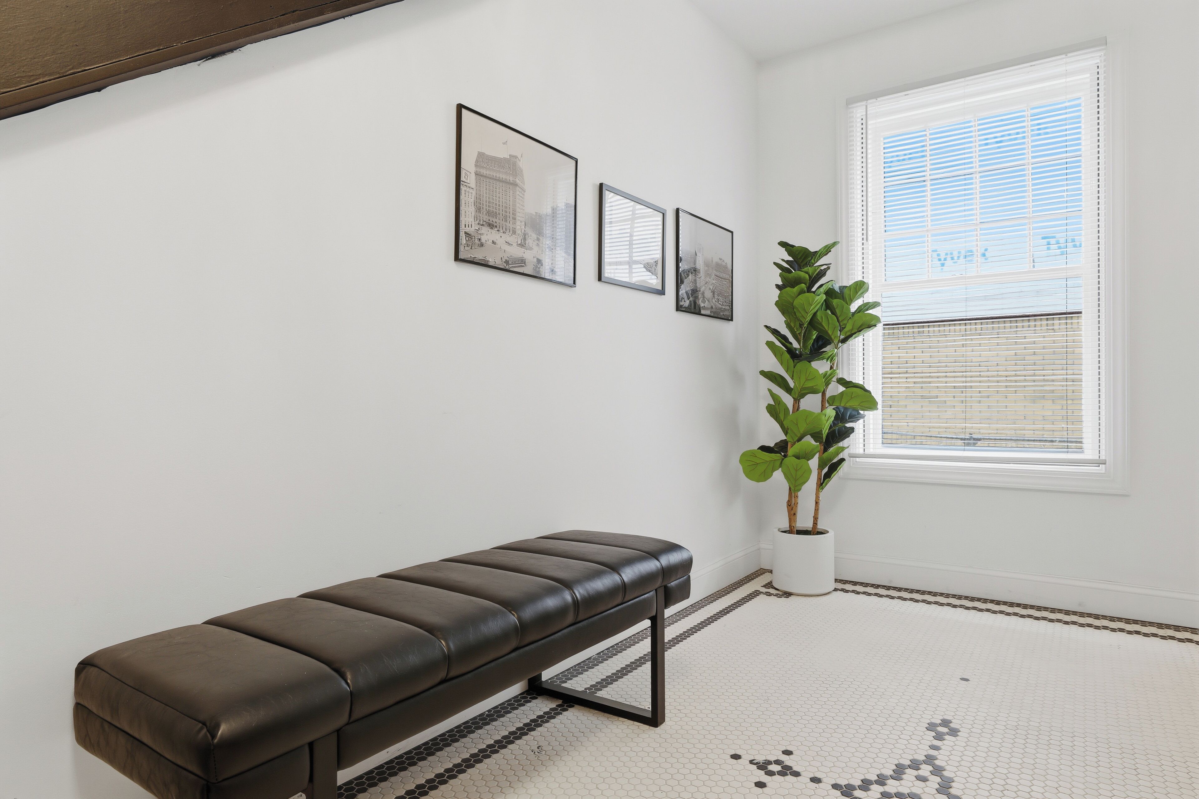 A room with a bench, a potted plant, and framed pictures on the wall.