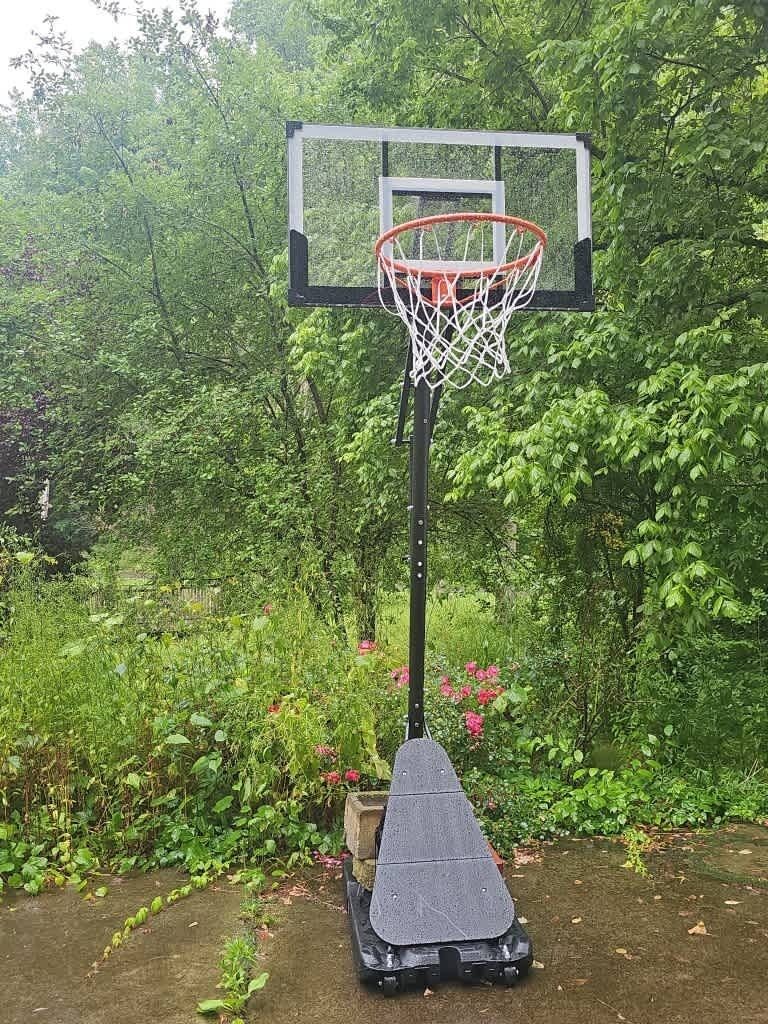 A basketball hoop in a garden setting.