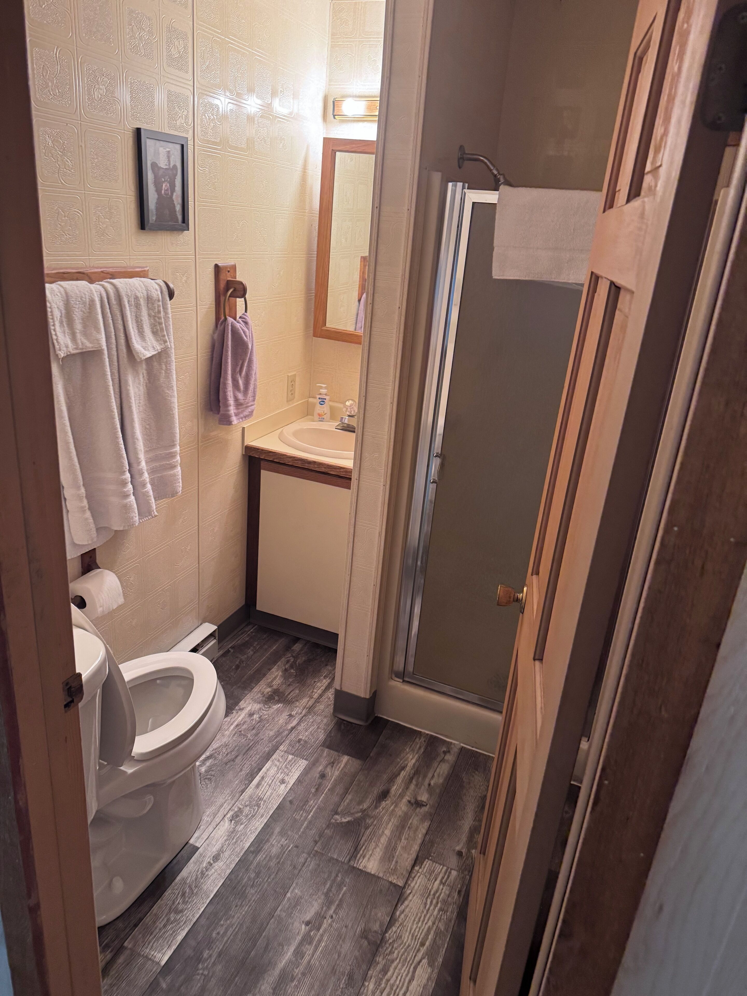 Dusche, Handtücher, Toilettenpapier