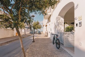 Property grounds - St. Peter Beach House I between beach and harbor (Ischia)